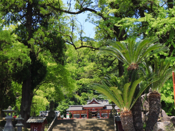 照片來源：Google Map