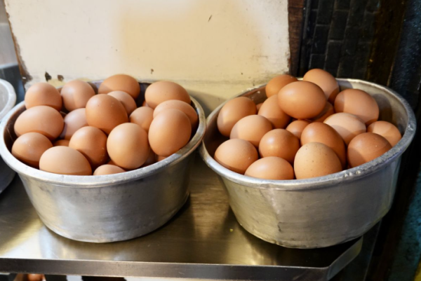 照片來源:網上圖片 照片來源:網上圖片