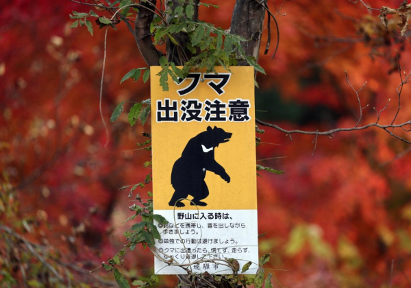 照片來源：網上圖片 