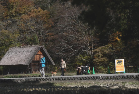 照片來源：網上圖片 