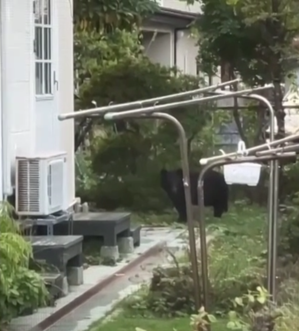 照片來源：網上圖片 