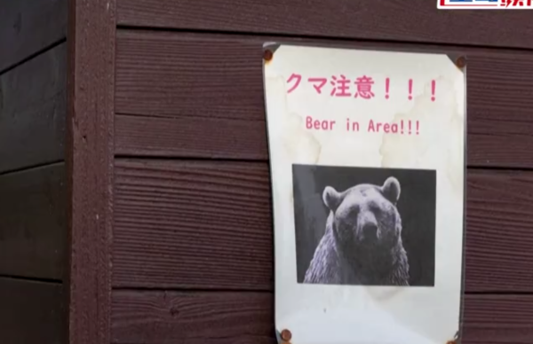 照片來源：網上圖片 