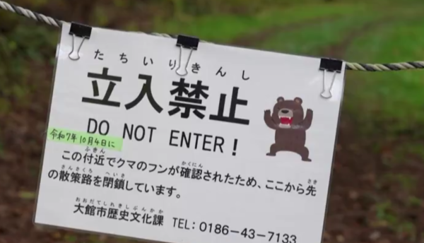 照片來源：網上圖片 