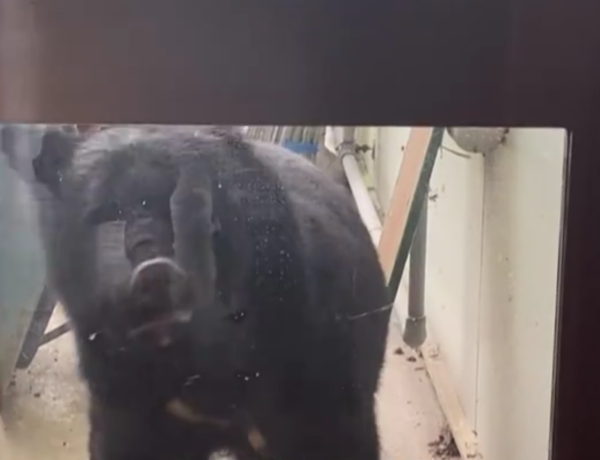 照片來源：網上圖片 