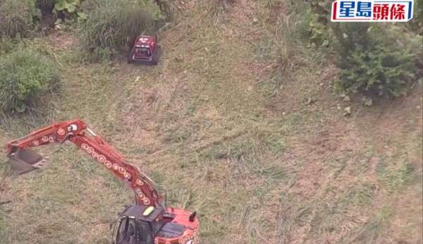 照片來源：網上圖片 