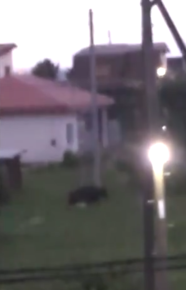 照片來源：網上圖片 