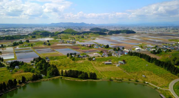 照片來源：Google Map