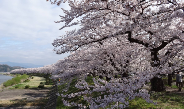 照片來源：Google Map