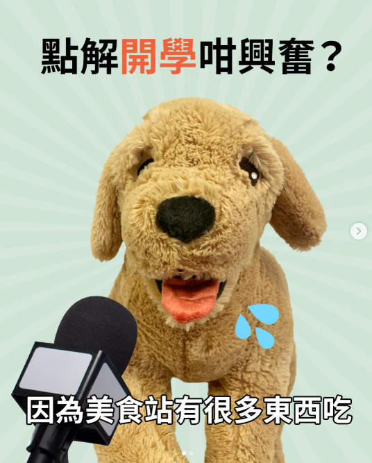 IKEA宜家家居進駐屯門大西北!巨型鯊鯊、泰迪熊現身!街坊興奮:終於唔駛出市區