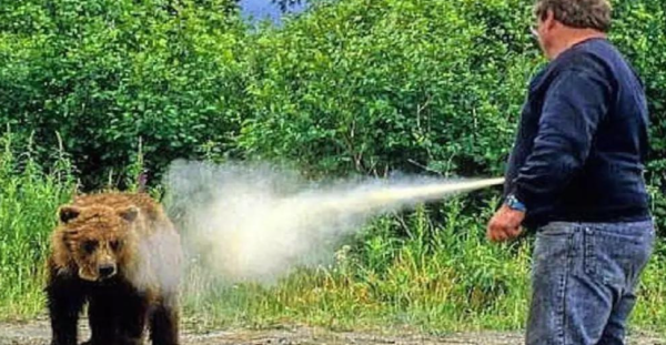 照片來源：網上圖片 