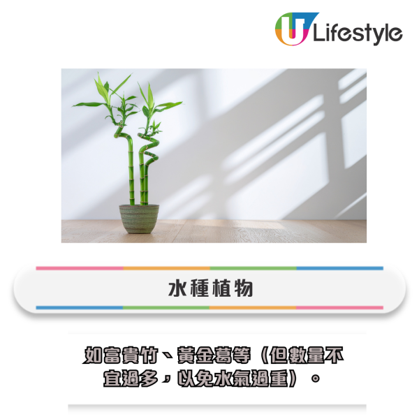 蘇民峰教路｜催旺升職加薪秘笈！2大行業對應兩吉星：找對位置「放1物」即旺事業