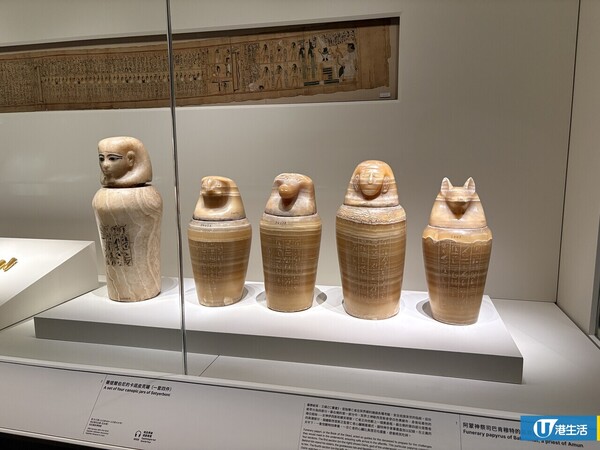 九巴突發免費送500張故宮埃及展門票！法老貓主題巴士出巡 即睇搶飛攻略