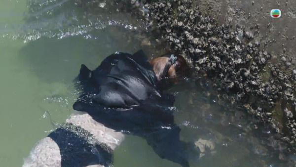 新聞女王2｜6大富豪船P靚女「網紅」起底  全員港姐郭珮文鄧凱文泳裝照鬥晒葫蘆身形