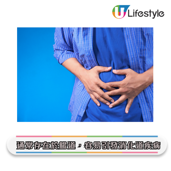 牙刷更換｜牙刷比馬桶污糟55倍？專家警告：1個月不換 細菌恐致敗血症/肺炎