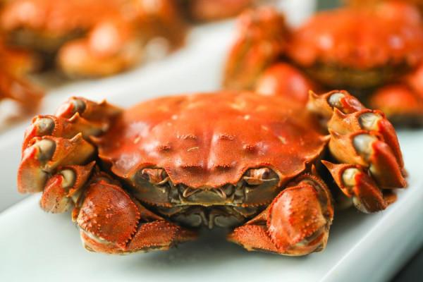 利榮軒片皮鴨放題人均$88起！1.5小時任食片皮鴨/棉花雞/生蝦/蟹粉小籠包