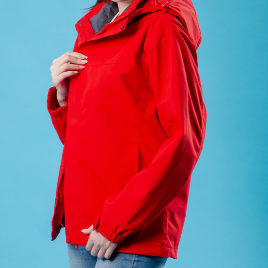 照片來源:網上圖片 照片來源:網上圖片