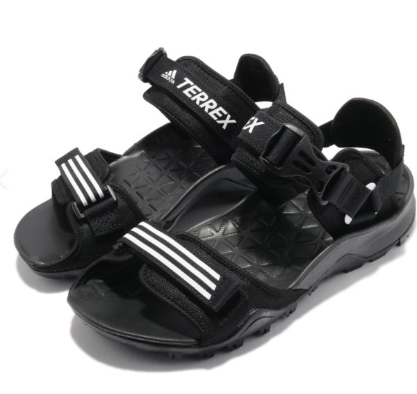 照片來源:網上圖片 照片來源:網上圖片