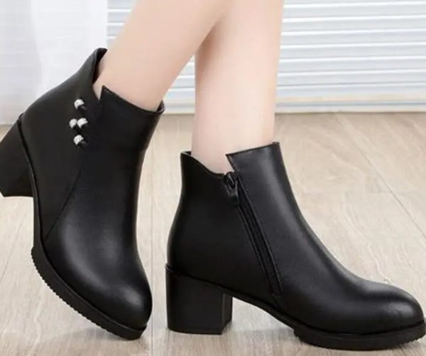 照片來源:網上圖片 照片來源:網上圖片