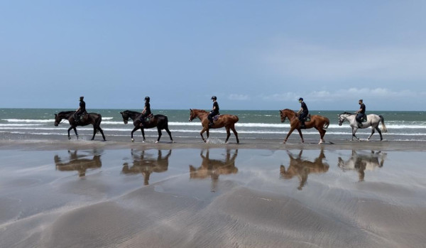綠野馬術文創園區。圖片來源：KKday
