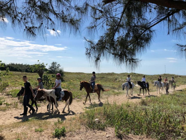 綠野馬術文創園區。圖片來源：KKday