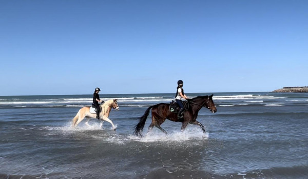 綠野馬術文創園區。圖片來源：KKday