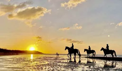 綠野馬術文創園區。圖片來源：KKday