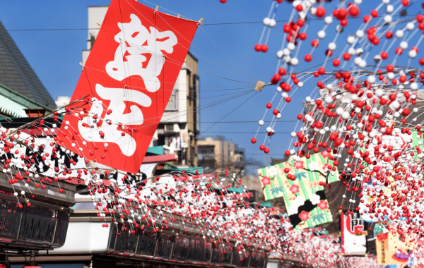 照片來源:網上圖片 照片來源:網上圖片