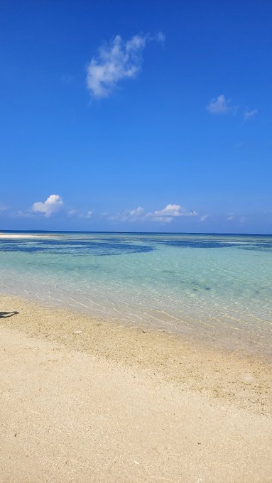 北上搵食注意！內地禁日水產恐轉買印度貨！網民崩潰：恒河水vs核廢水點揀？ 