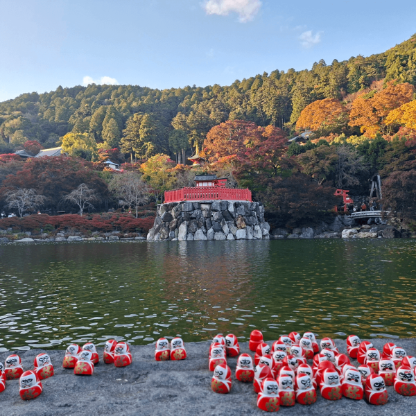 【日本神社】大阪7個特色神社推介 必買爆紅透明御守/達摩/限定御朱印 