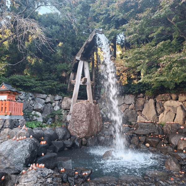 【日本神社】大阪7個特色神社推介 必買爆紅透明御守/達摩/限定御朱印 
