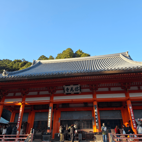 【日本神社】大阪7個特色神社推介 必買爆紅透明御守/達摩/限定御朱印 