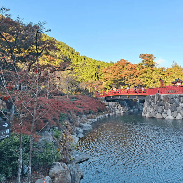 【日本神社】大阪7個特色神社推介 必買爆紅透明御守/達摩/限定御朱印 
