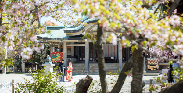 【日本神社】大阪7個特色神社推介 必買爆紅透明御守/達摩/限定御朱印 