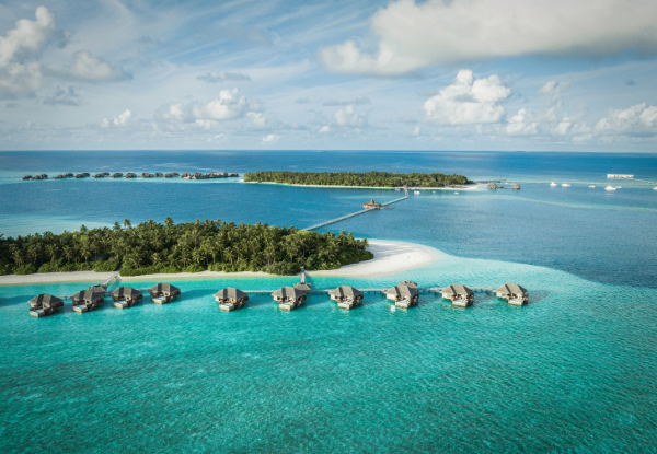 照片來源:網上圖片 照片來源:網上圖片