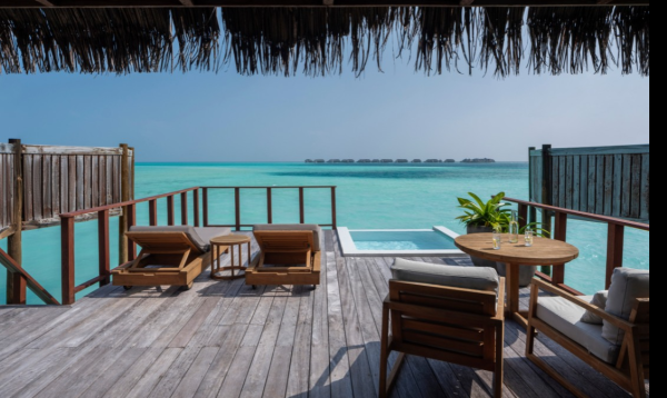 照片來源:網上圖片 照片來源:網上圖片