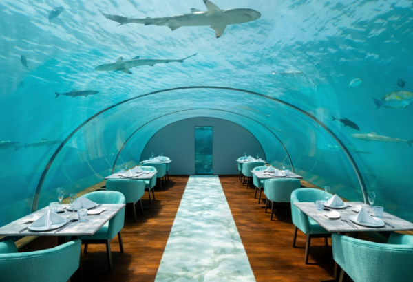 照片來源:網上圖片 照片來源:網上圖片