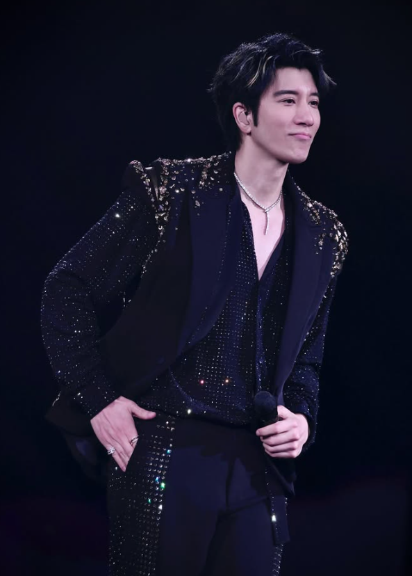 （圖片來源︰IG@wangleehom）