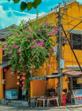 照片來源:小紅書 照片來源:小紅書