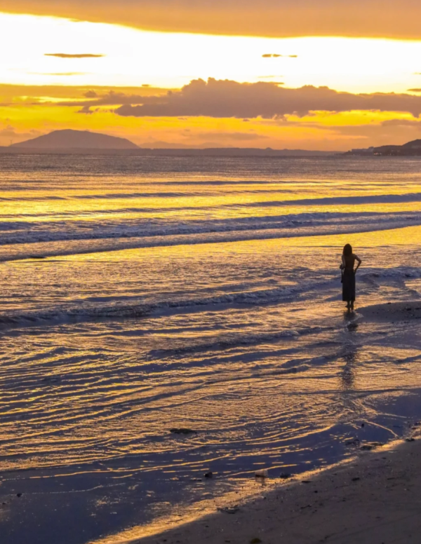 照片來源:小紅書 照片來源:小紅書