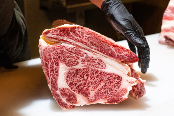 韓牛日2025登陸香港︱免費食韓牛、露營市集、韓服體驗