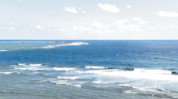 照片來源:小紅書 照片來源:小紅書