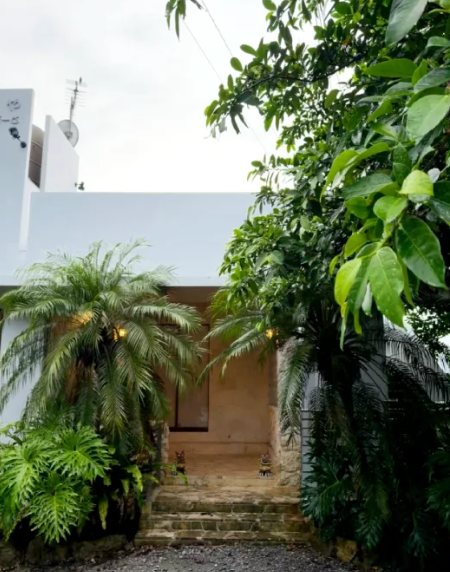 照片來源:小紅書 照片來源:小紅書