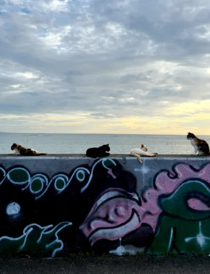 照片來源:小紅書 照片來源:小紅書