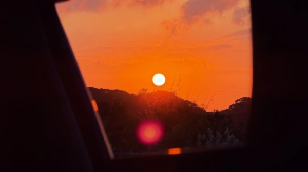 照片來源:小紅書 照片來源:小紅書