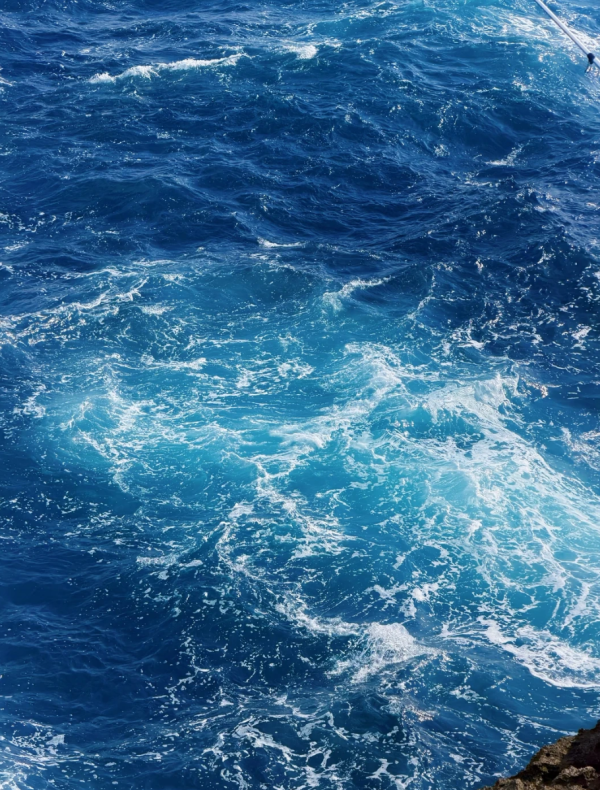 照片來源:小紅書 照片來源:小紅書