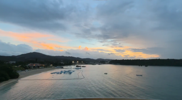 照片來源:小紅書 照片來源:小紅書