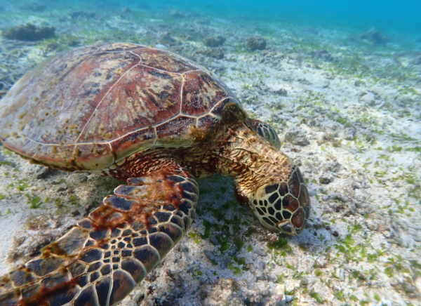 照片來源:小紅書 照片來源:小紅書