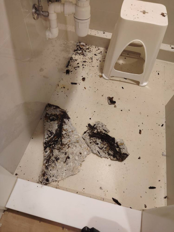 $200萬買中「化妝樓」收樓10日冧巨型石屎 網民教3招驗樓保命