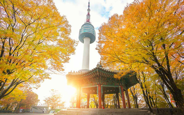 HK Express大專生機票$58起！最平$178飛韓國！19航點任選+附搶飛連結