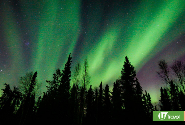 黃刀鎮極光(韋珈萱 攝) 黃刀鎮極光(韋珈萱 攝)